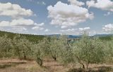 V Umbrii pozemků pro vinogradkikov a orné půdy, olivových hájů. 3
