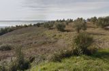 V Umbrii pozemků pro vinogradkikov a orné půdy, olivových hájů. 2