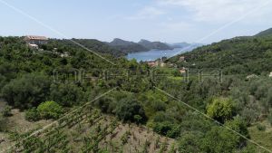 Object 100 m2 and agricultural land 23.260 m2 in Sipanska Luka, Dubrovnik 1