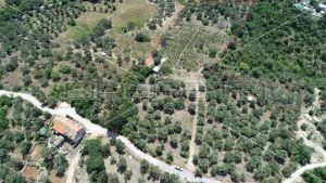 Object 100 m2 and agricultural land 23.260 m2 in Sipanska Luka, Dubrovnik 5