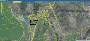 Prodej stavebních pozemků 4500 m2 v obci Dobříš, chatová oblast Chotobuš 7