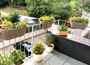 Pronajmu pěkný byt 1+kk s balkonem, Brno, U Leskavy, Brno-Starý Lískovec 7