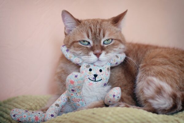 Manažment rizika: Refinancovanie úveru pri poklese príjmu domácnosti