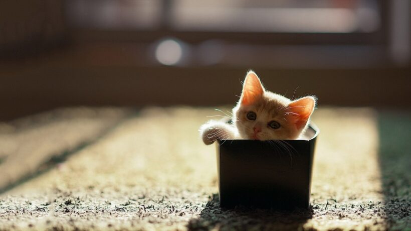 Finančné ciele: Nastavenie stratégie po úspešnom oddlžení a stabilizácii