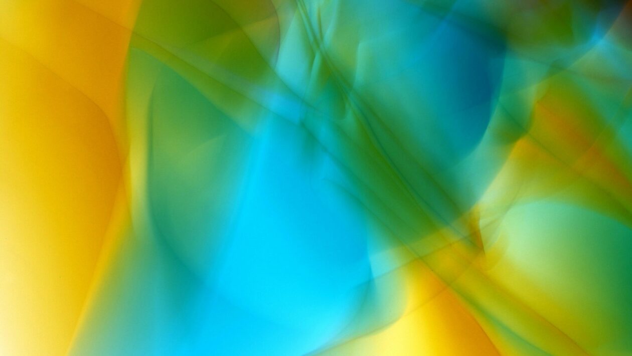 Kancelárske trendy 2025: Oblé tvary, teplé dekory dreva a akustické textílie