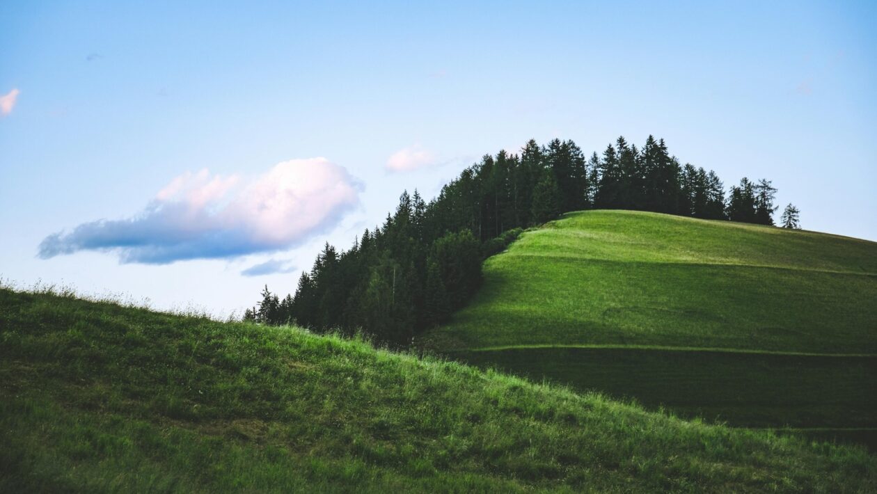 Suterén: Konštrukčné riešenia a tepelná izolácia
