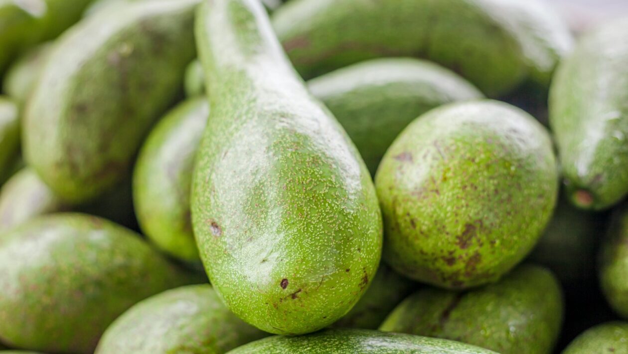 Nosné zdi: Výber materiálu, statika a tepelná technika