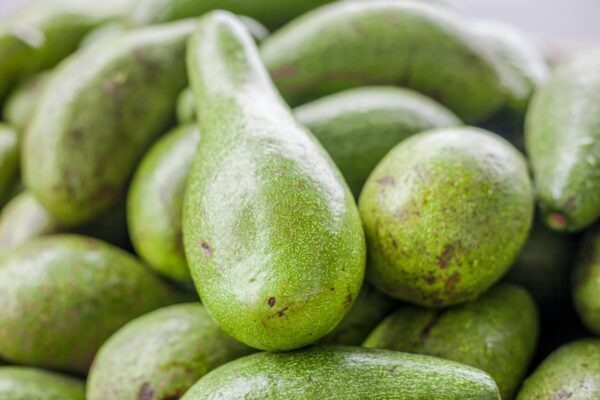 Nosné zdi: Výber materiálu, statika a tepelná technika