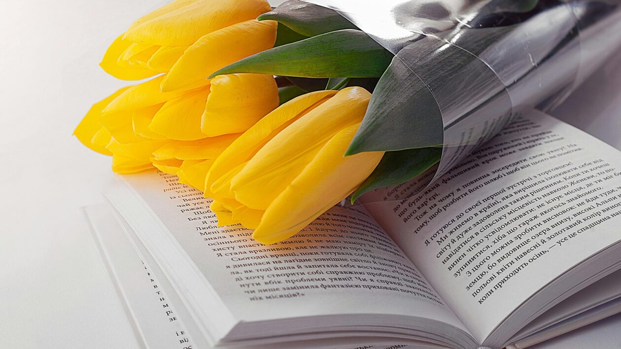 Zateplení budovy: Metodika, materiály a energetická úspora