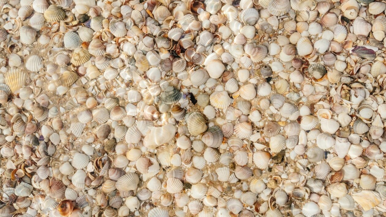 Vstupní dveře: Bezpečnosť, izolácia a certifikácia