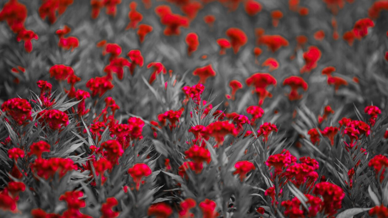 Zábradlí: Bezpečnostné normy a estetické riešenia