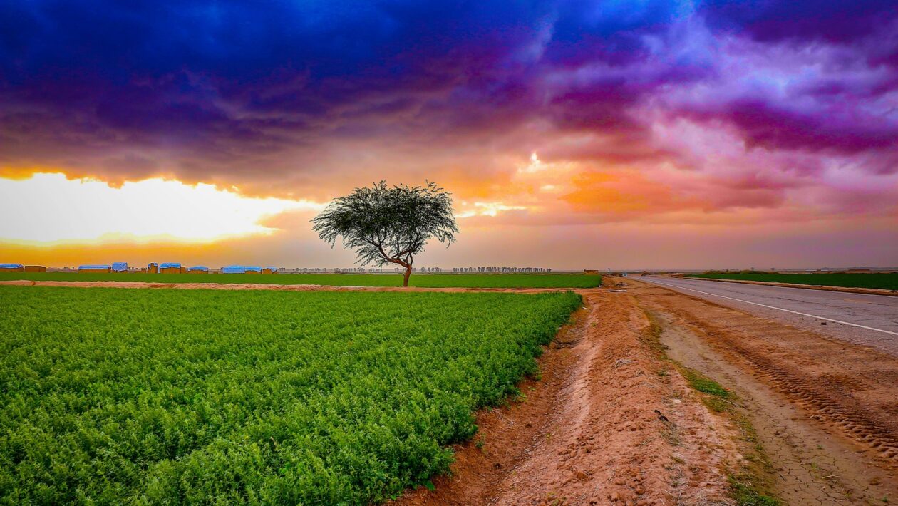 EPS (požární signalizace): Typy, normy a údržba