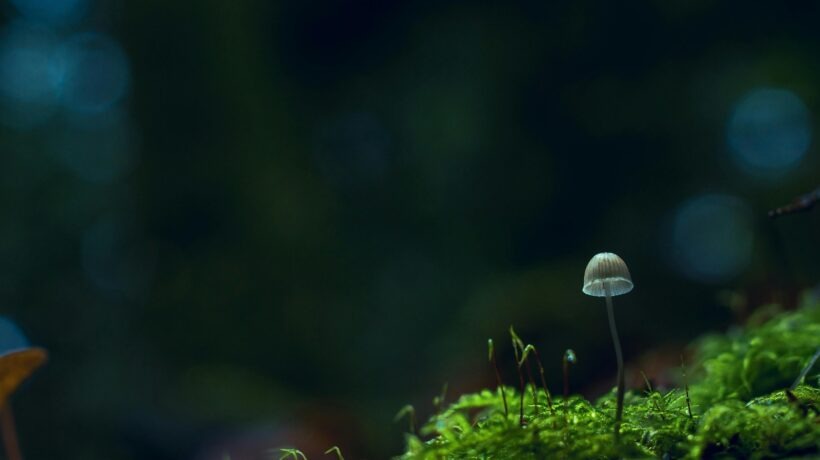 Klempířské prvky: Materiály, detaily a ochrana konštrukcie