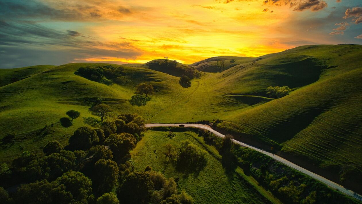 Kancelářský nábytek: Výber a ergonómia