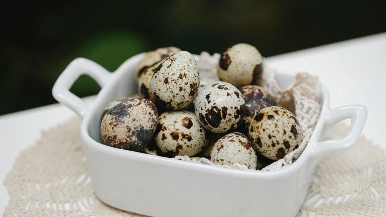 Nosná stena vs. priečka: Konštrukčné a funkčné rozdiely v interiéri