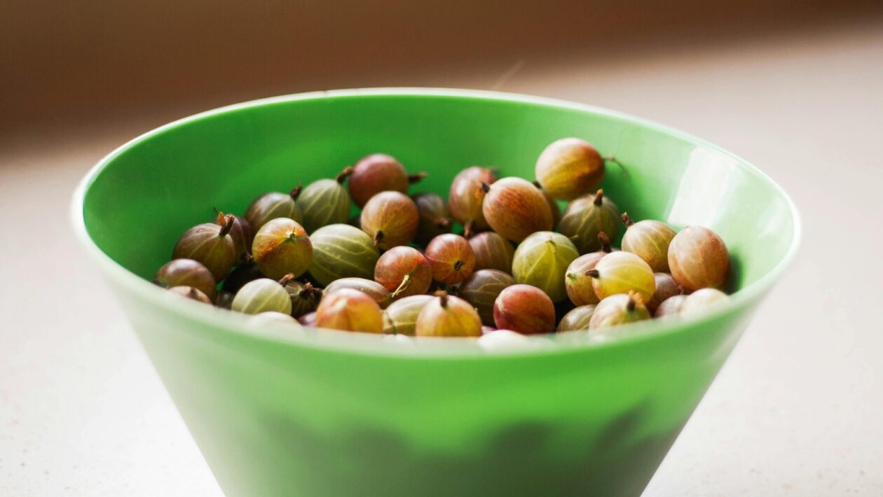 Moderné materiály a technológie fasádnych systémov: Estetika a funkčnosť