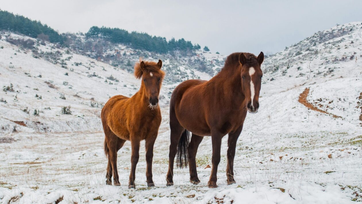 Vliv zateplení na energetickou náročnost budovy: Blower Door Test