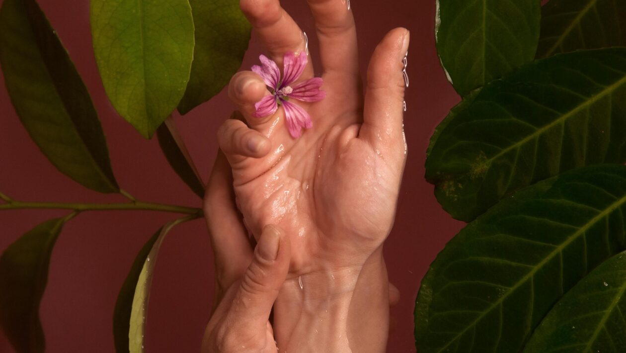 Minerální vata a polystyren: Porovnání izolačních a difuzních vlastností