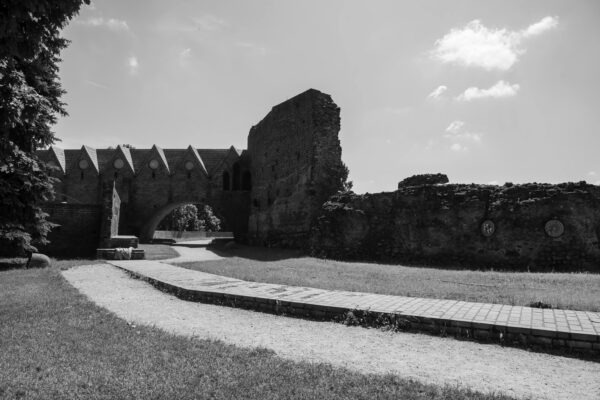 Moderní dekorativní omítky a efekty: Textury a povrchové úpravy