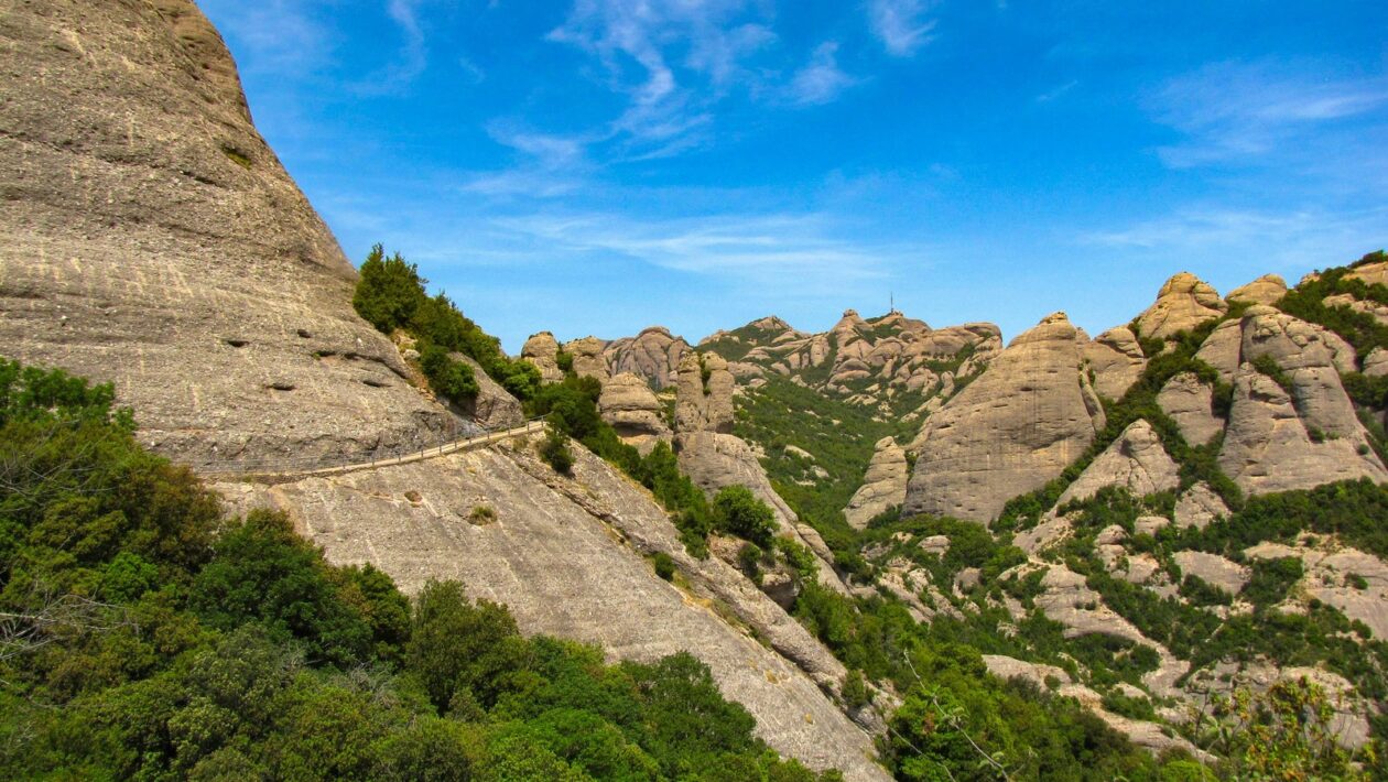 Utěsnění dilatačních spár v podlahách: Trvalá elasticita a hydroizolace