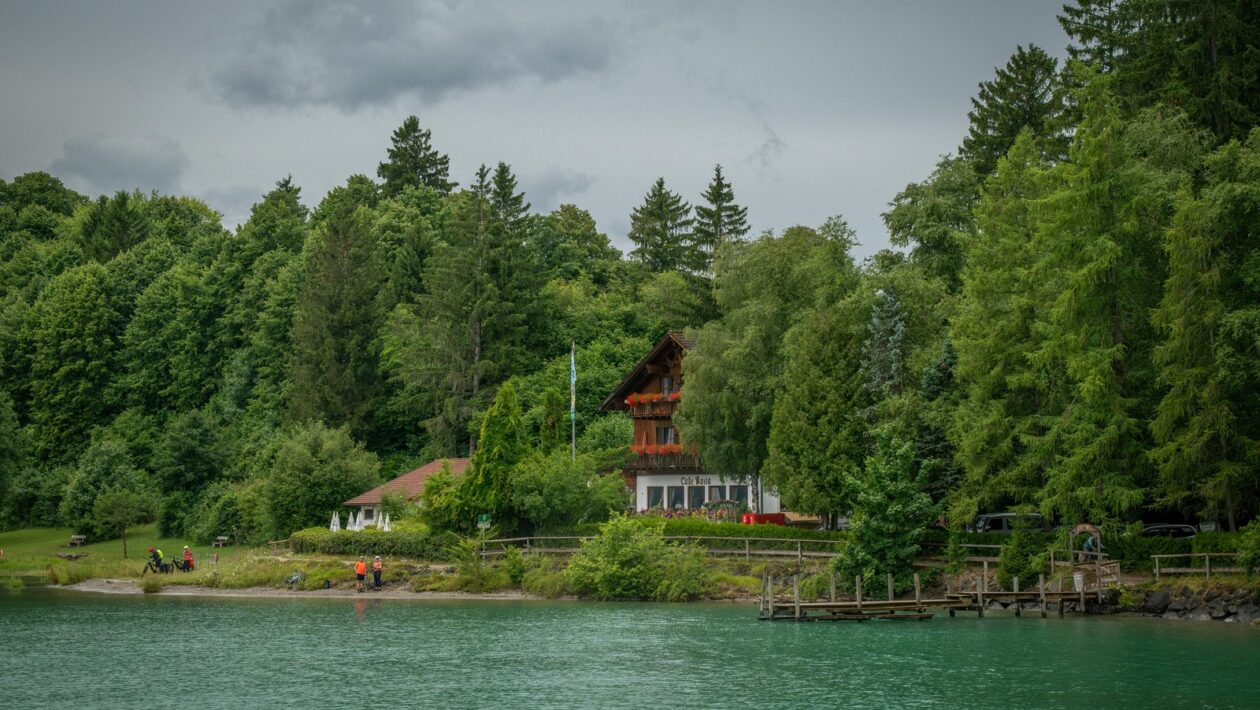 Ochrana vstupních dveří proti povětrnostním vlivům: Údržba a nátery