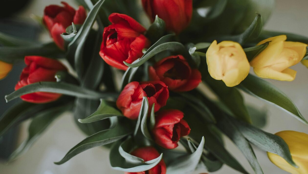 Materiály používané pro výrobu zábradlí: Oceľ, sklo, drevo – komparácia