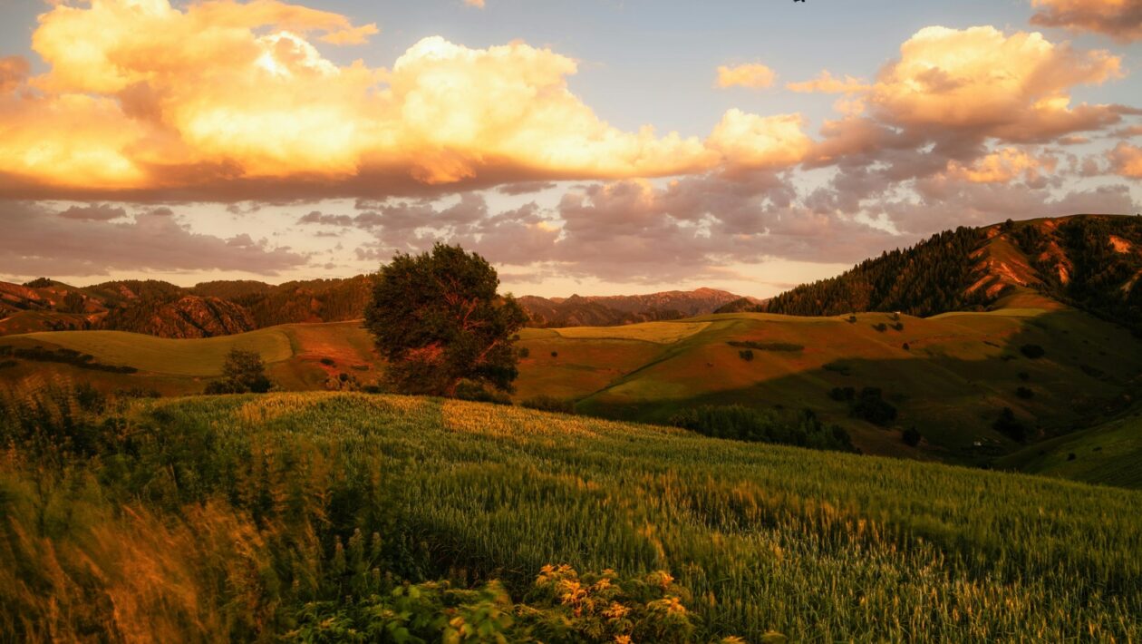 Balkonová zábradlí a jejich estetika: Bezpečnosť a dizajn