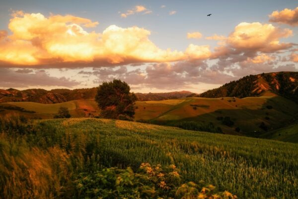 Balkonová zábradlí a jejich estetika: Bezpečnosť a dizajn