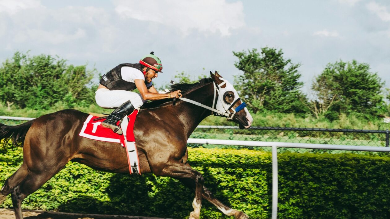 Správné zateplení půdy a střechy: Detaily, materiály a eliminace tepelných mostů