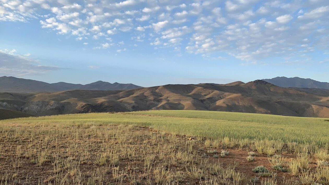 Otevřený vs. uzavřený krb: Porovnání účinnosti a bezpečnostních aspektů