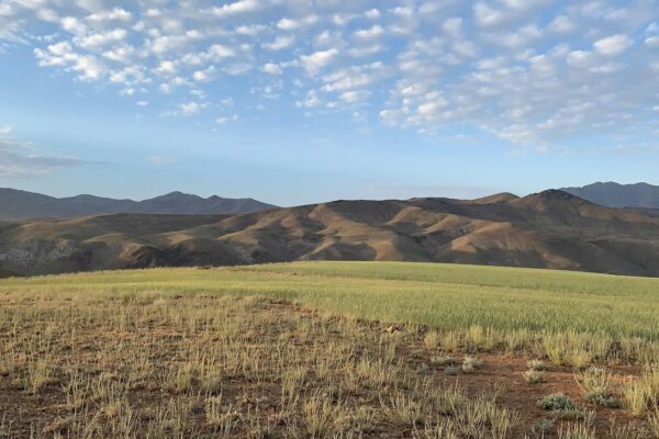 Otevřený vs. uzavřený krb: Porovnání účinnosti a bezpečnostních aspektů