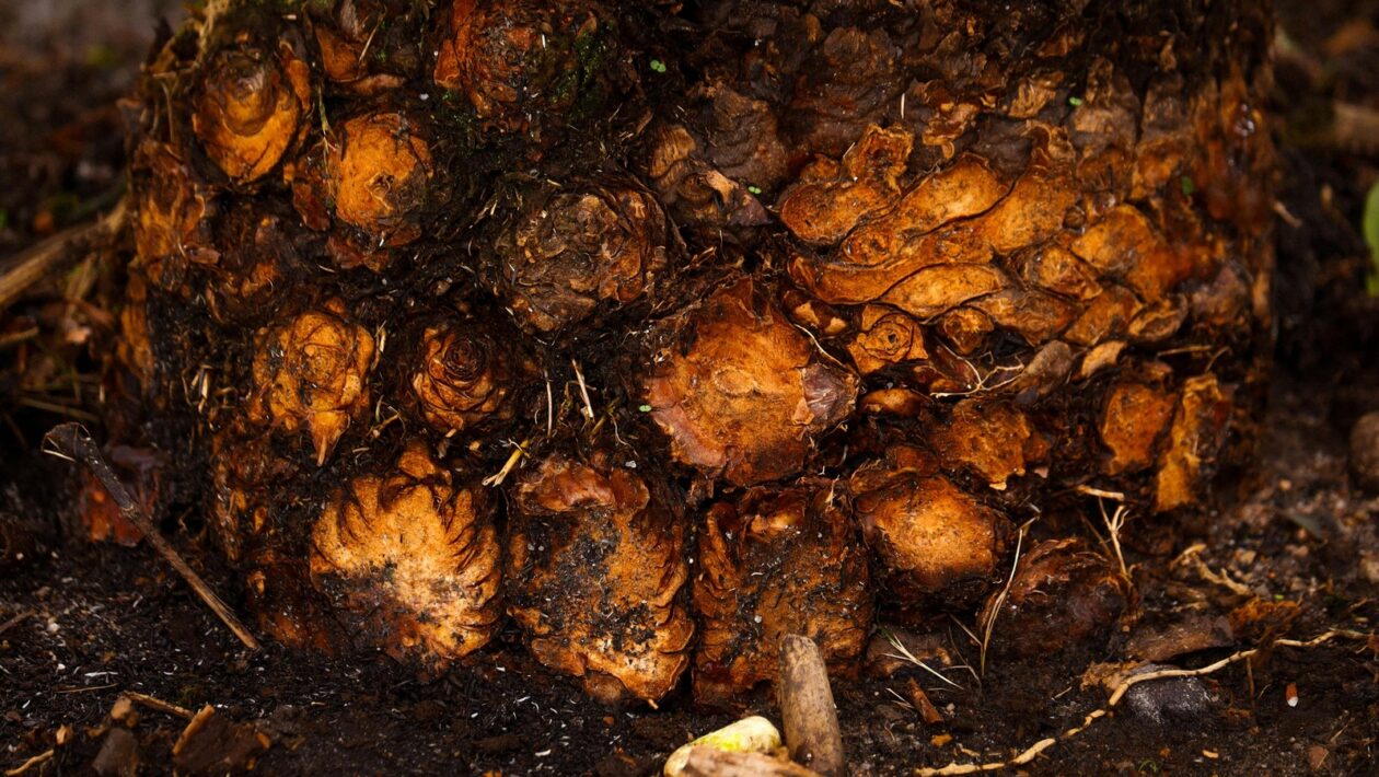 Účinnost vytápění pevnými palivy: Optimalizace spalování