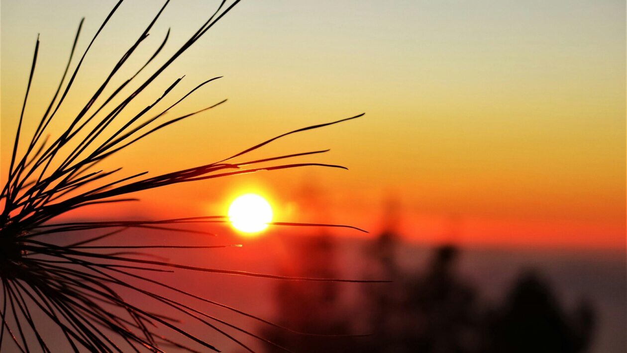 Regulace teploty a úspora energie při podlahovém vytápění: Termostaty a zóny