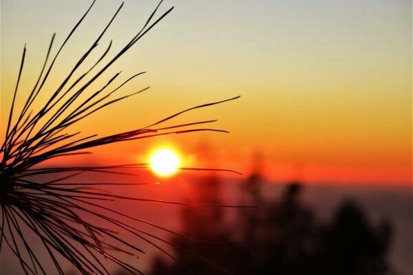 Regulace teploty a úspora energie při podlahovém vytápění: Termostaty a zóny