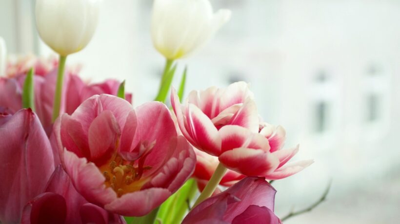 Odečítání hodnot a detekce chyb měření na plynoměru