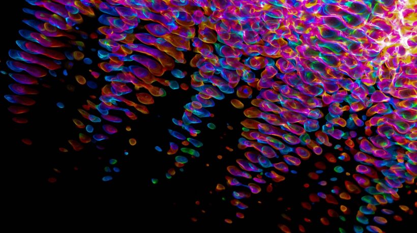 Druhy hasicích přístrojů a jejich použití: Typy (A, B, C, D, F)