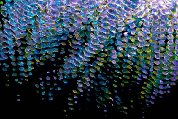 Výběr správného hasicího přístroje do domácnosti: Kategorie