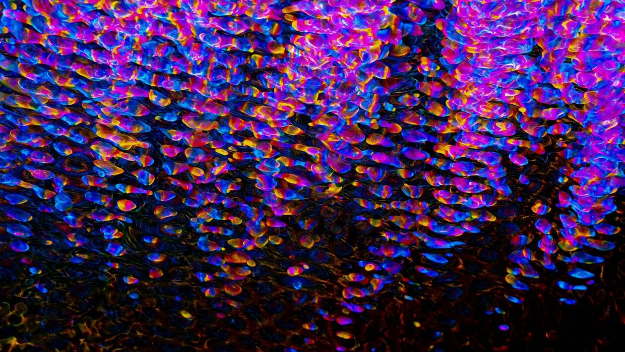 Rozmístění hasicích přístrojů podle typu objektu: Návrh