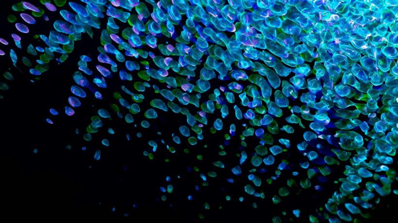 Vyrovnání stropu pomocí sádrokartonu: Postup a přesnost