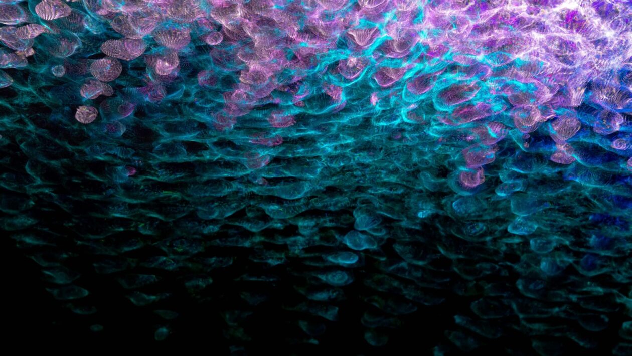 Akustické vlastnosti sádrokartonových stropů: Zvuková izolace