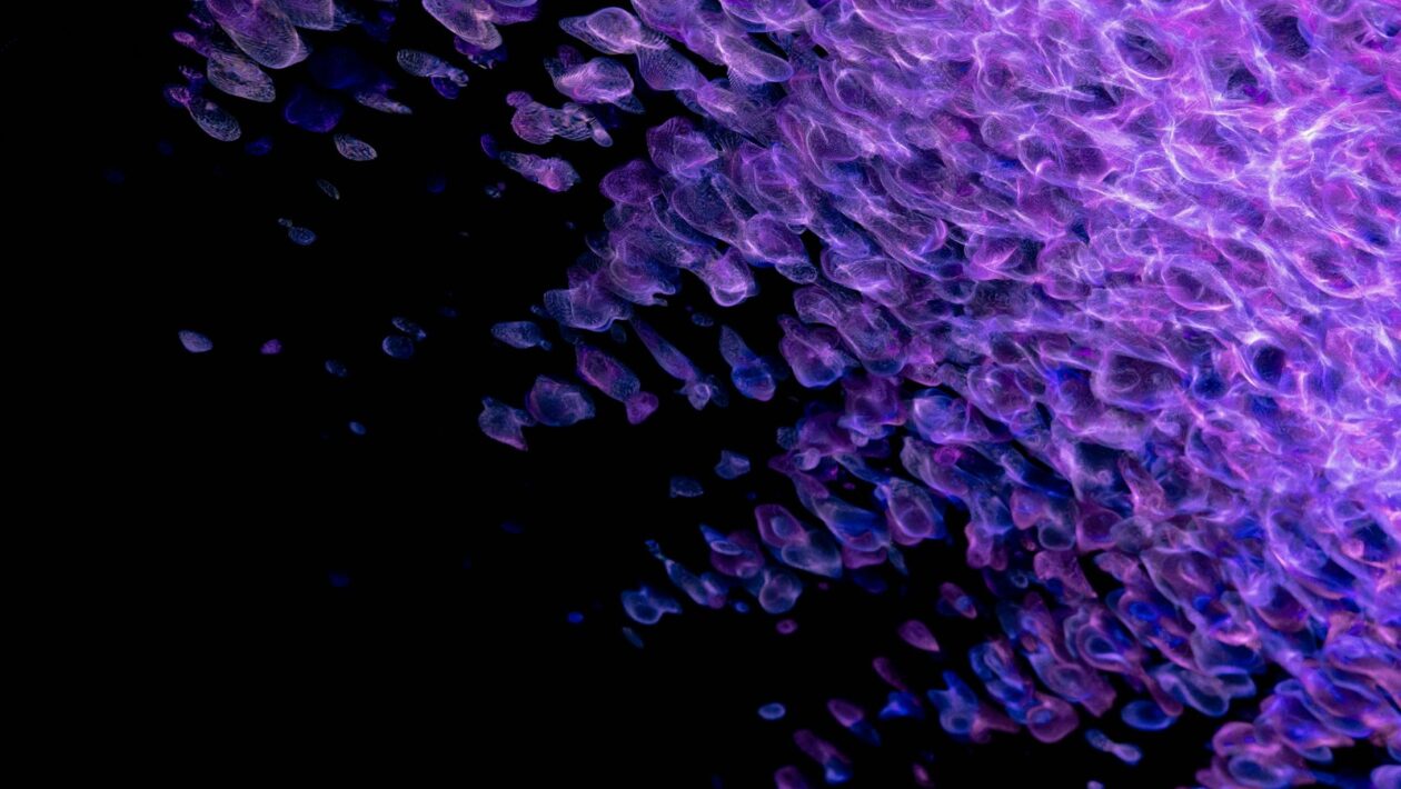 Chyby při montáži sádrokartonových podhledů a jejich prevence