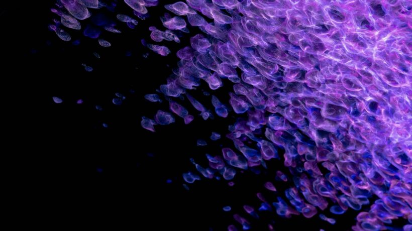 Chyby při montáži sádrokartonových podhledů a jejich prevence