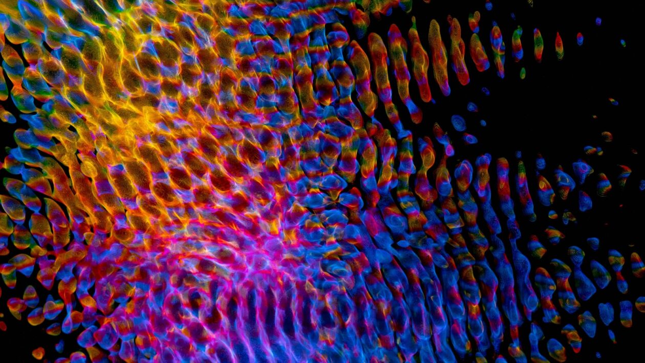 Designové možnosti akustických řešení: Estetika a funkce