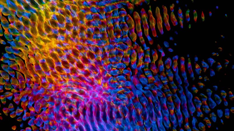 Designové možnosti akustických řešení: Estetika a funkce