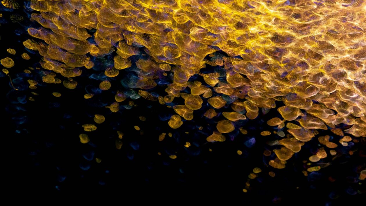 Akustické měření a jeho vyhodnocení: Doba dozvuku