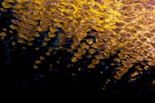 Akustické měření a jeho vyhodnocení: Doba dozvuku