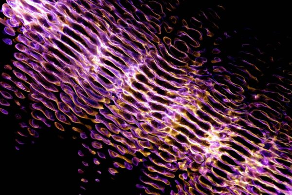 Správná pokládka parozábrany bez netěsností: Detaily a těsnicí pásky