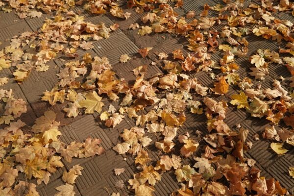 Prevence zatékání v oblasti atiky: Detaily a hydroizolace