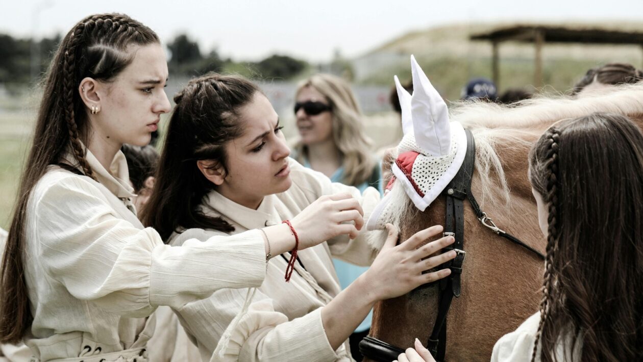 Sanace poškozených atik na starších objektech: Opravy a rekonstrukce