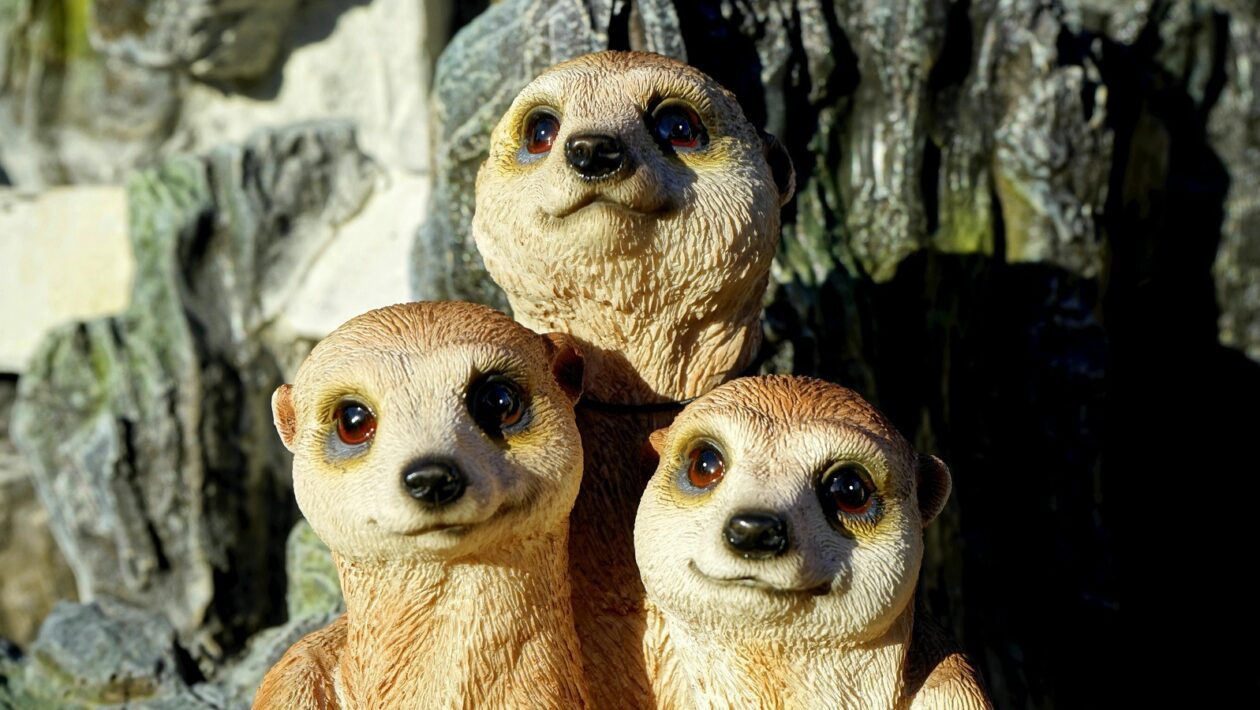 Údržba filtrů a servis rekuperační jednotky: Pravidelná starostlivost